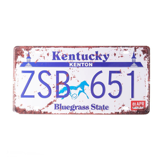 Number Plates wall sign - Kentucky ZSB 651