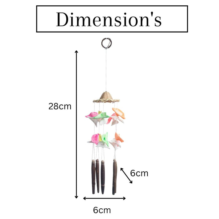 Seashells wall Hanging - Small Hat shell