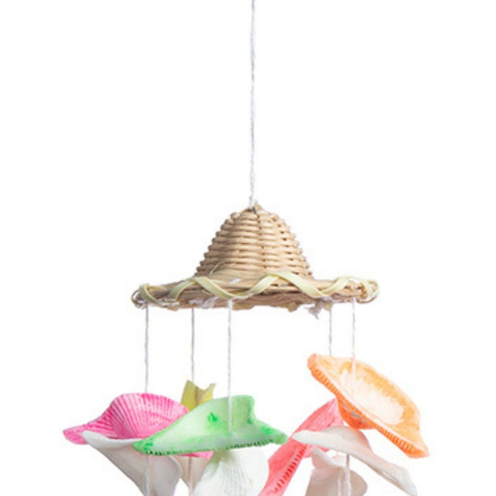 Seashells wall Hanging - Small Hat shell