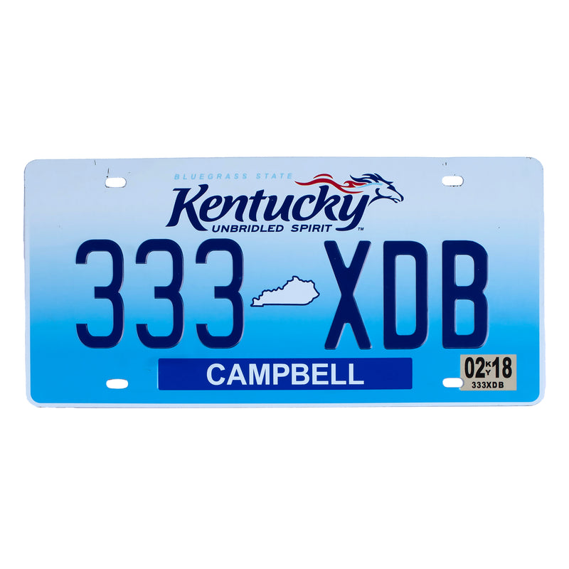 Number Plates wall sign - Kentucky 333 XDB