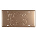 Number Plates wall sign - Triumph Tiger Motorbike - eazy wagon