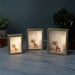 Photo Frames - Beige Double Sided LED Frame - eazy wagon