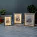 Photo Frames - Beige Silver With LED Light - eazy wagon