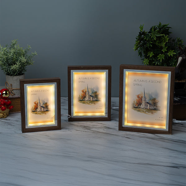 Photo Frames - Brown Silver With LED Light