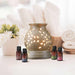 Ekam - ELECTRIC OIL WARMER WITH 4 PACK FRAGRANCE OIL (crmrnd) - eazy wagon