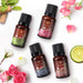 Ekam - ELECTRIC OIL WARMER WITH 4 PACK FRAGRANCE OIL (crmrnd) - eazy wagon