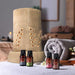 Ekam - ELECTRIC OIL WARMER WITH 4 PACK FRAGRANCE OIL (crmtri) - eazy wagon