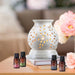 Ekam - ELECTRIC OIL WARMER WITH 4 PACK FRAGRANCE OIL (gryrnd) - eazy wagon