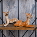Miniature Figurine - Fox Couple - eazy wagon
