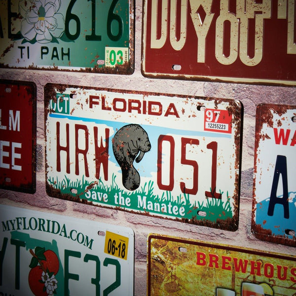 Number Plates wall sign - Florida HRW 051