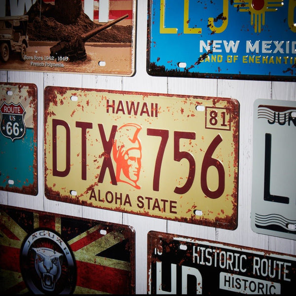 Number Plates wall sign - Hawaii DTX 756