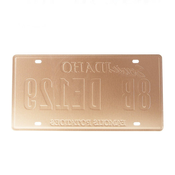 Number Plates wall sign - Idaho 8B DE129