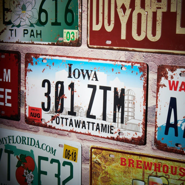 Number Plates wall sign - Iowa 301 ZTM