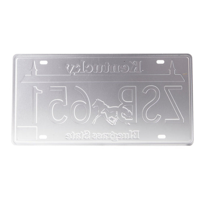 Number Plates wall sign - Kentucky ZSB 651