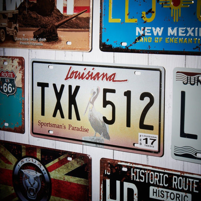 Number Plates wall sign - Louisiana TXK512