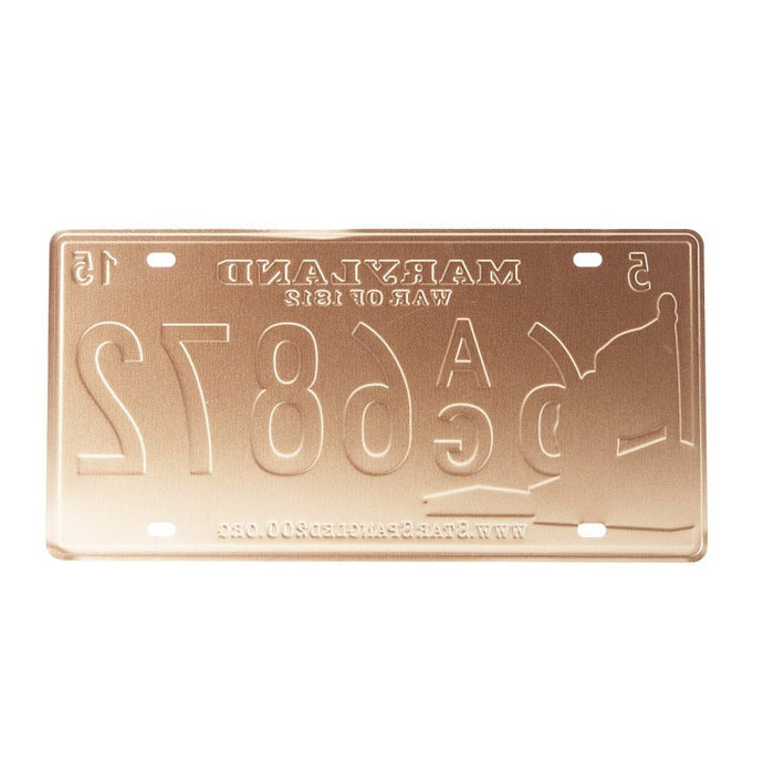 Number Plates wall sign - Maryland 6AG6872