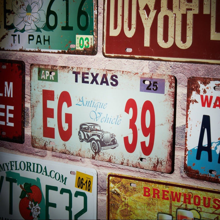 Number Plates wall sign - Texas EG39