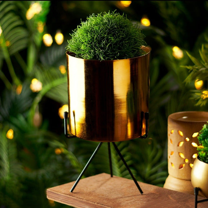 Planter stand - Cylindrical planter (Gold) - eazy wagon