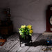 Planter stand  - Small pots (Black) - eazy wagon