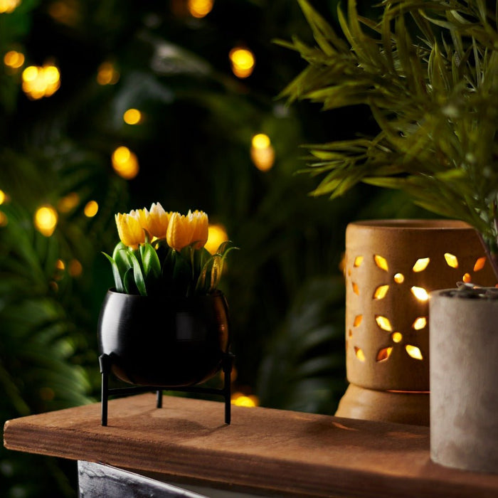 Planter stand  - Small pots (Black) - eazy wagon