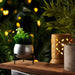 Planter stand  - Small pots (Silver) - eazy wagon