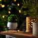 Planter stand  - Small pots (White) - eazy wagon