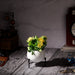 Planter stand  - Small pots (White) - eazy wagon